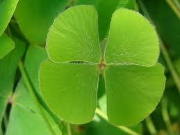 Lucky Way