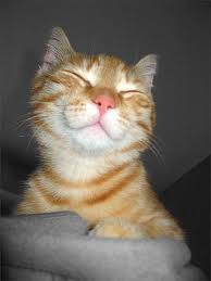 Home Business Owners, do your customers feel good about you?
